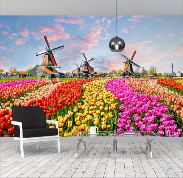 Image de Landscape with tulips in Zaanse Schans Netherlands Europe